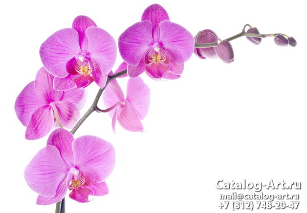 Натяжные потолки с фотопечатью - Розовые орхидеи 90
